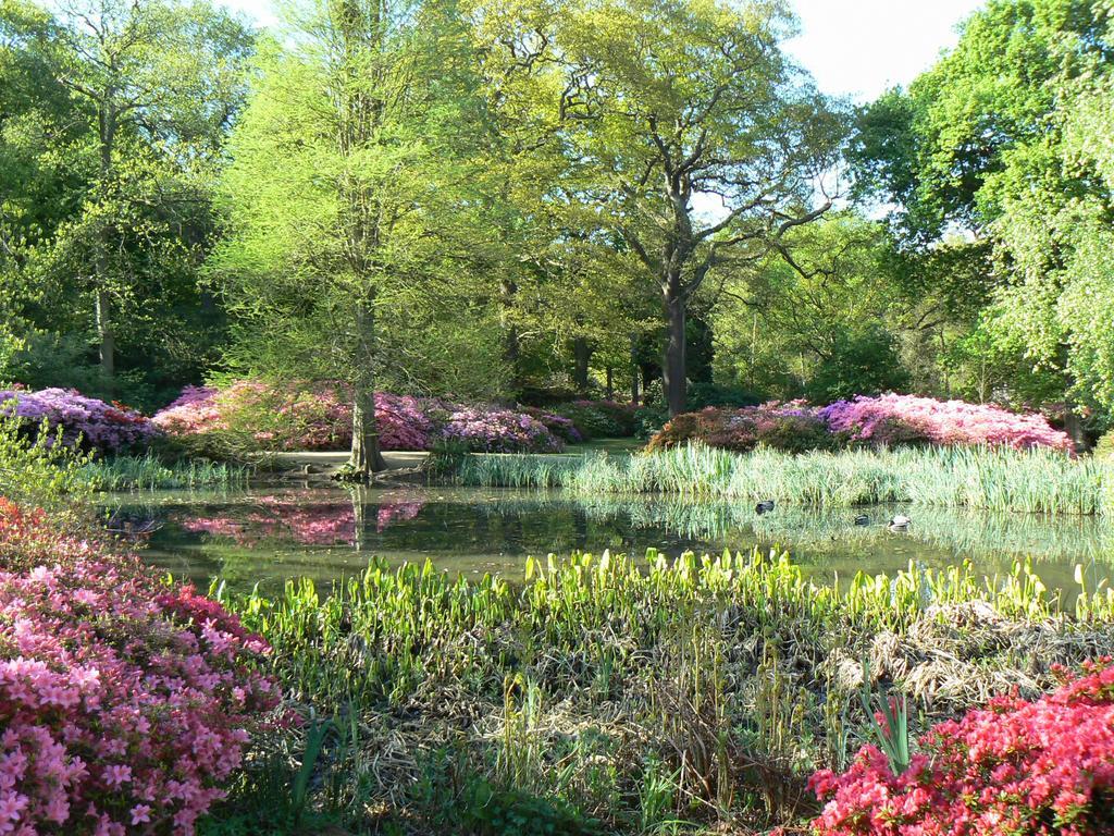 Londonhomegardens Dış mekan fotoğraf